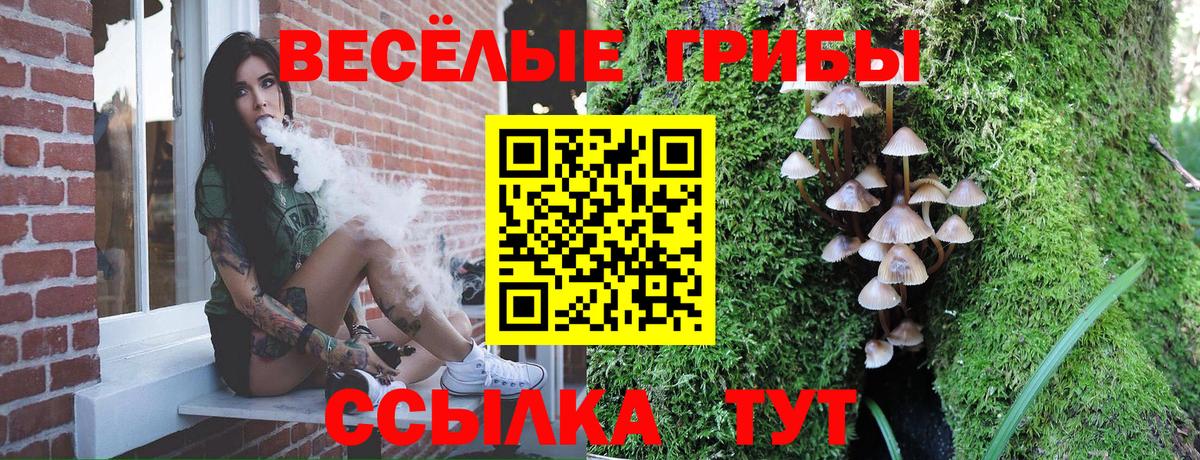 Псилоцибиновые грибы прущие грибы Алапаевск