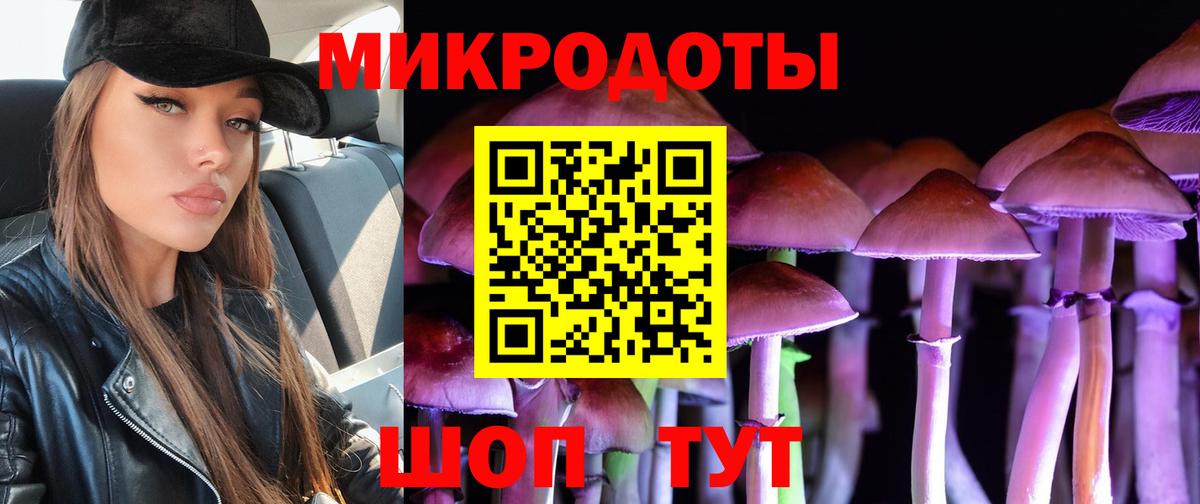 купить наркотики сайты  Галлюциногенные грибы GOLDEN TEACHER  Вход с VPN  Алапаевск 